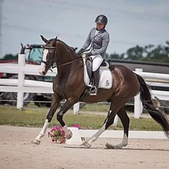 Meet your Posher, Roxanne - Picture 1 of 1